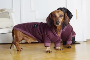 Dachshund bordeaux hoodie Selena