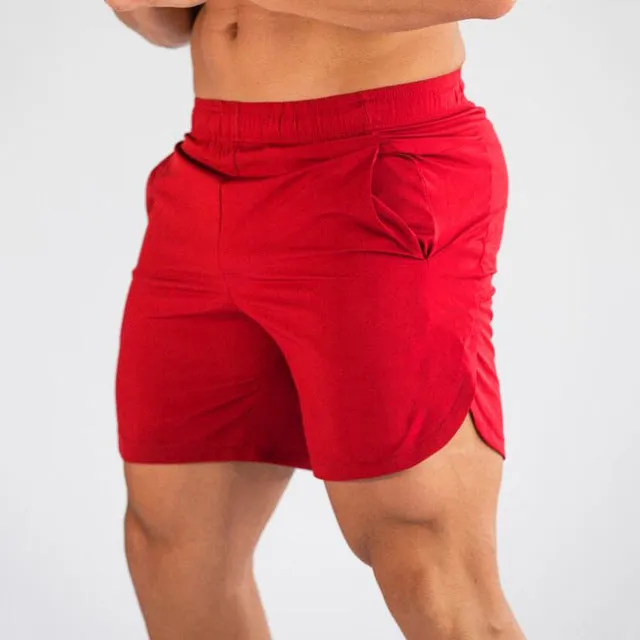 Quick Dry Running Shorts